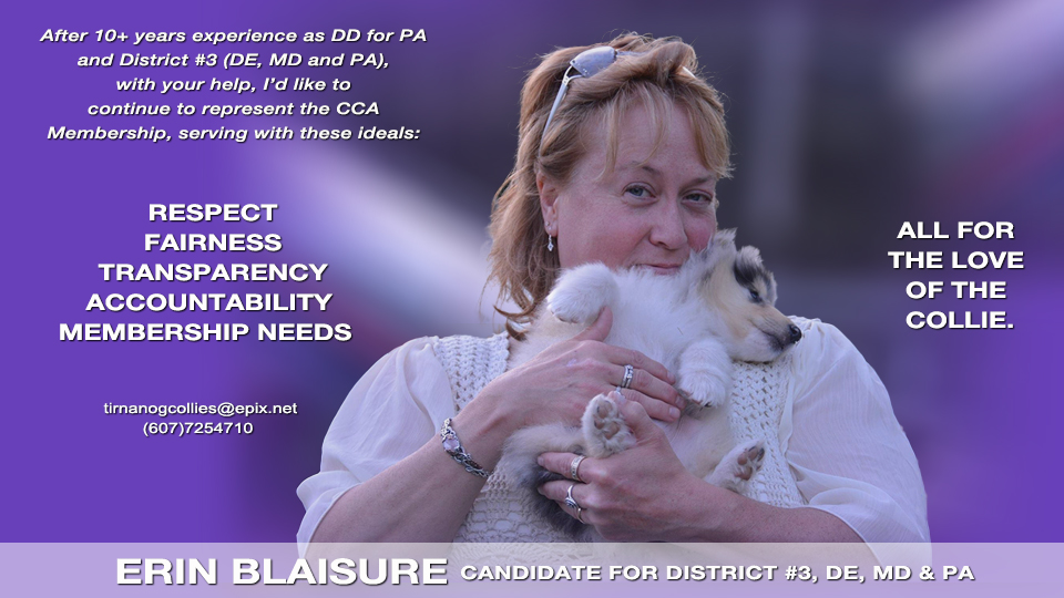 Erin Blaisure -- Candidate for District #3 (Delaware, Maryland, Pennsylvania)