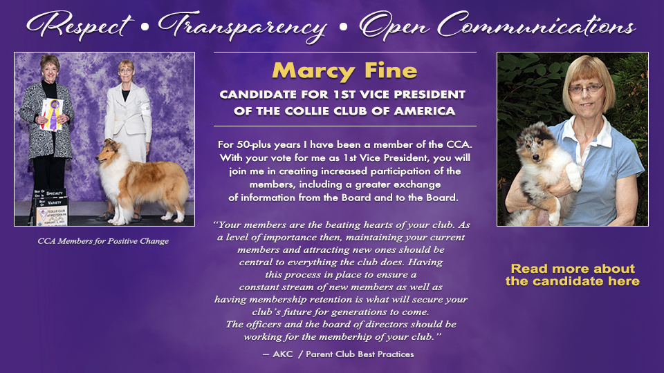 Marcy Fine -- Candidate for 1st Vice President of the Collie Club of America