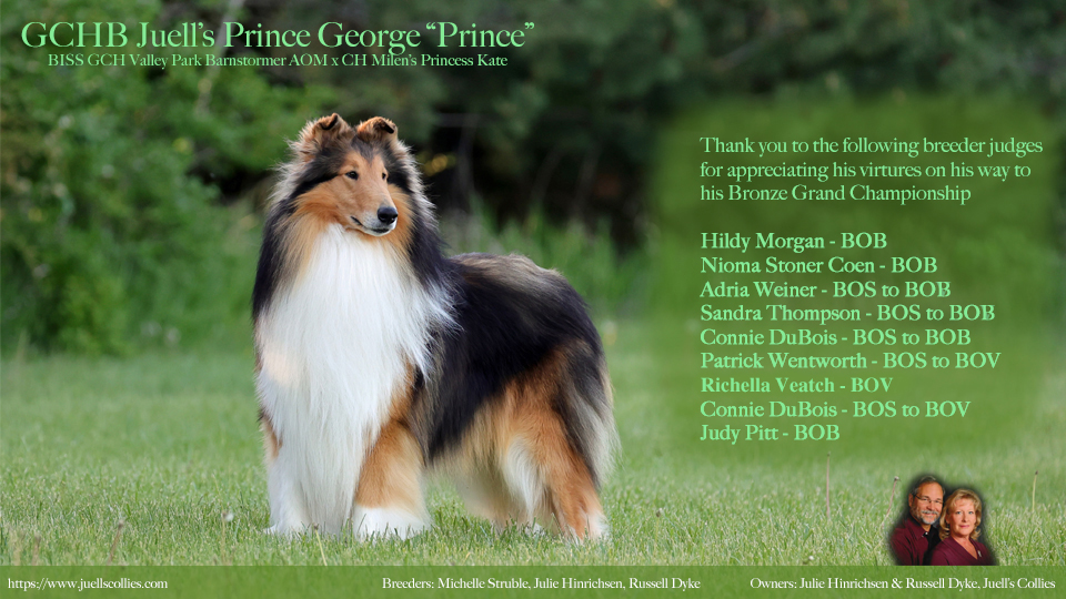 GCHB Juell's Prince George 