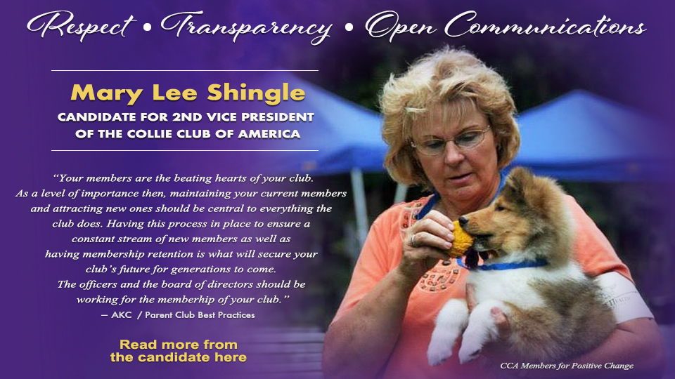 Mary Lee Shingle -- Candidate for 2nd Vice President of the Collie Club of America