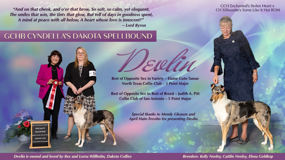 Rex and Lorna Willhelm -- GCHB Cyndella's Dakota Spellbound