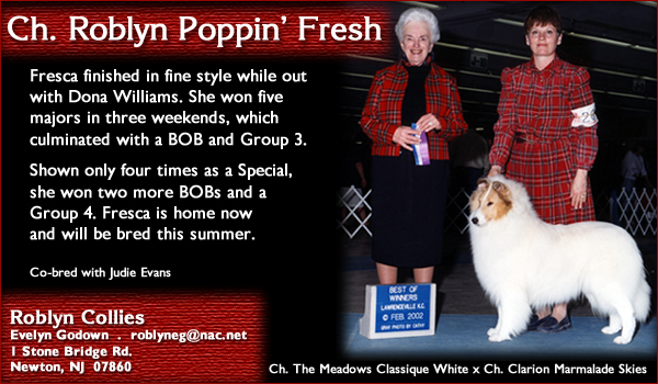 Roblyn Collies -- Ch. Roblyn Poppin' Fresh