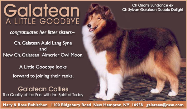 Galatean Collies -- Galatean A Little Goodbye 