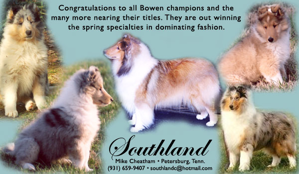 Southland Collies
