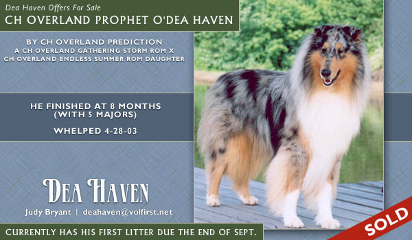 Dea Haven -- Ch. Overland Prophet O'Dea Haven
