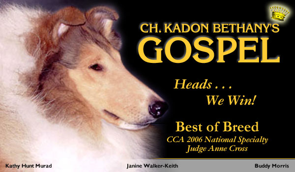 Bethany, Incandescent, Kadon -- Ch. Kadon Bethany's Gospel