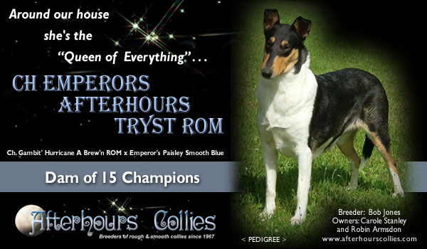 Afterhours Collies -- CH Emperor's Afterhours Tryst ROM