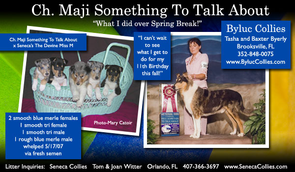Byluc Collies and Seneca Collies -- CH Maji Something To Talk About