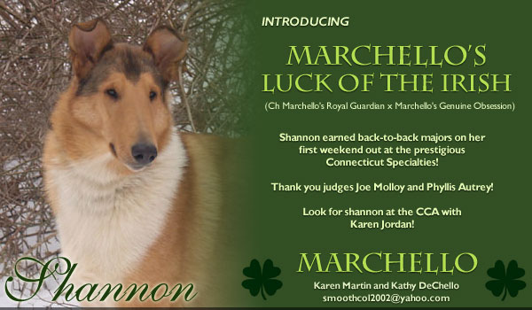 Marchello -- Marchello's Luck Of The Irish