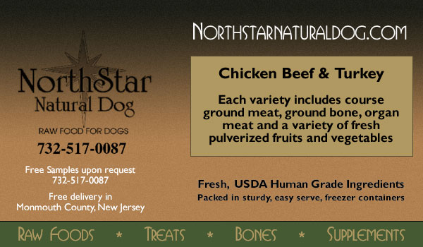 NorthStar Natural Dog -- Raw Food for Dogs
