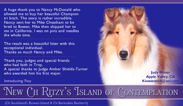 Ritzy -- CH Ritzy's Island Of Contemplation