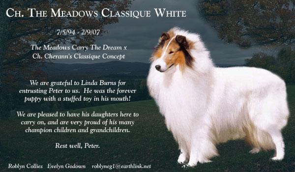 CH The Meadows Classique White
