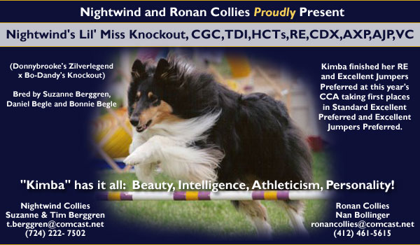 Nightwind Collies and Ronan Collies -- Nightwind Lil' Miss Knockout, CGC, TDI, HCTs, RE, CDX, AXP, AJP, VC