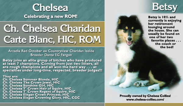 Chelsea -- CH Chelsea Charidan Carte Blanc, HIC, ROM