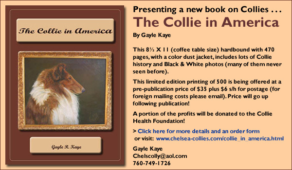Presenting a new book on Collies . . . The Collie in America by Gayle Kaye