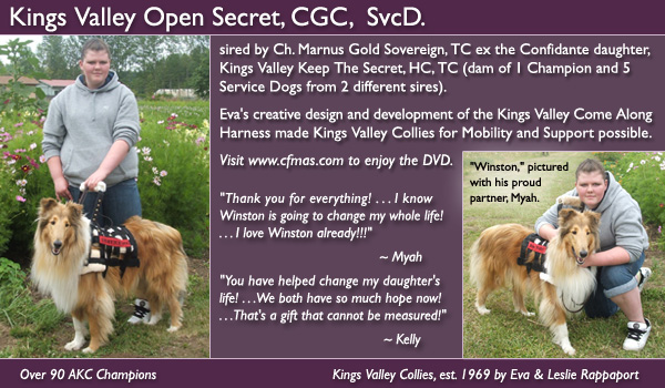Kings Valley Open Secret, CGC, SvcD