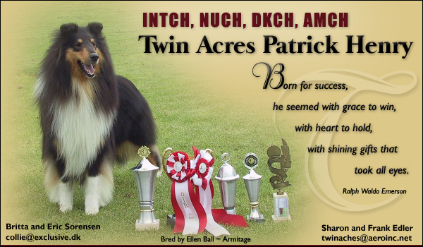 Twin Acres -- INTCH, NUCH, DKCH, AMCH Twin Acres Patrick Henry