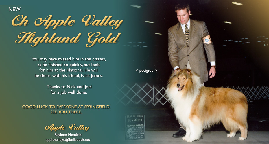 Apple Valley Collies -- CH Apple Valley Highland Gold