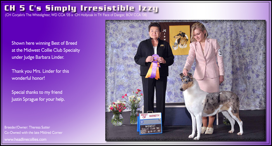 Headline Collies -- CH 5 C's Simply Irresistible Izzy
