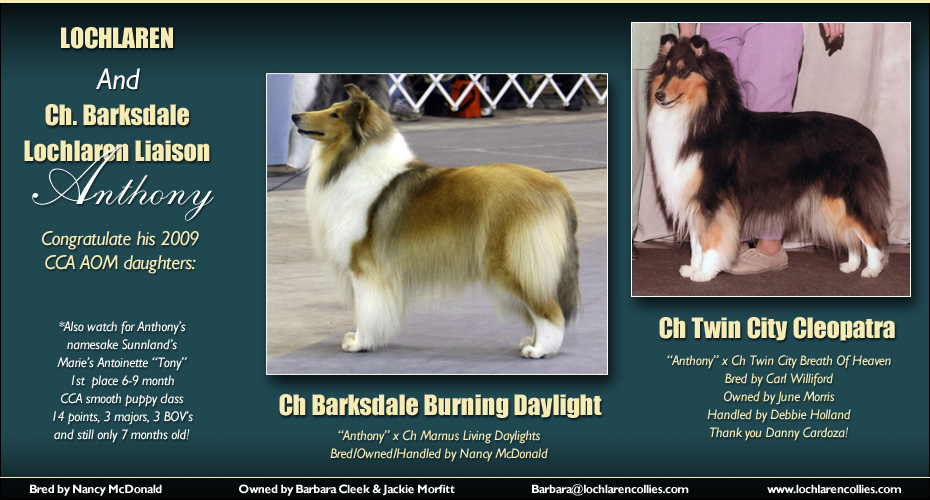 Lochlaren Collies -- Ch Barkdsale Burning Daylight and CH Twin City Cleopatra