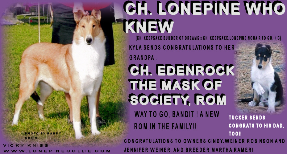 Lonepine Collies -- Tribute to CH Edenrock The Mask Of Society, ROM --  CH Lonepine Who Knew