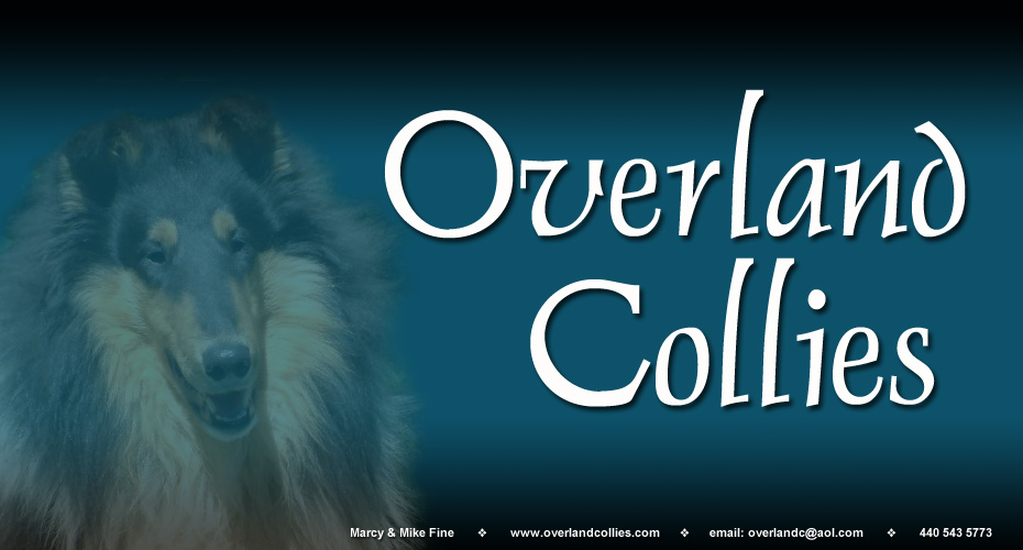 Overland Collies 