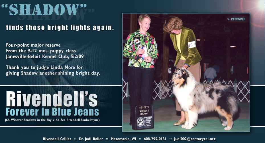 Rivendell Collies -- Rivendell's Forever In Blue Jeans