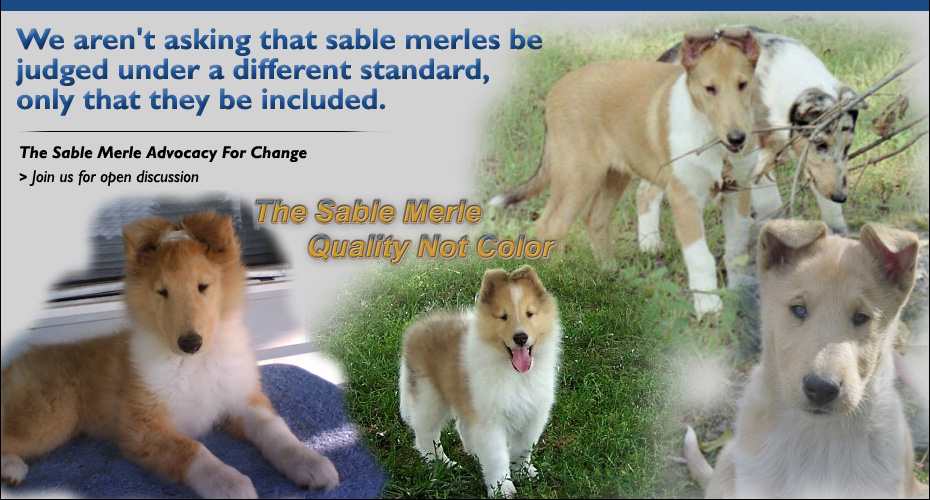 The Sable Merle Advocacy For Change