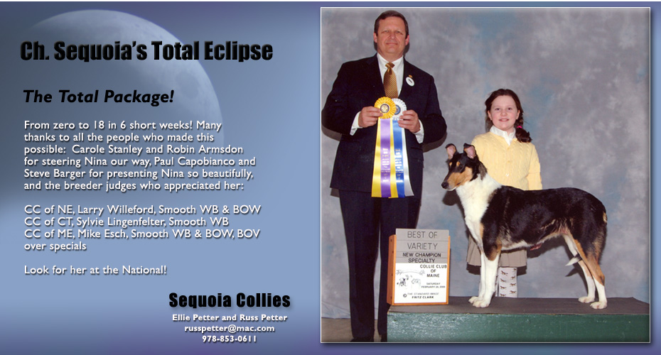 Sequoia Collies -- CH Sequoia's Total Eclipse
