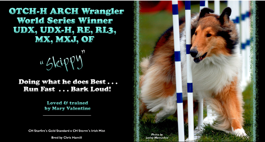 Mary Valentine -- OTCH-H ARCH Wrangler World Series Winner  UDX, UDX-H, RE, RL3, MX, MXJ, OF