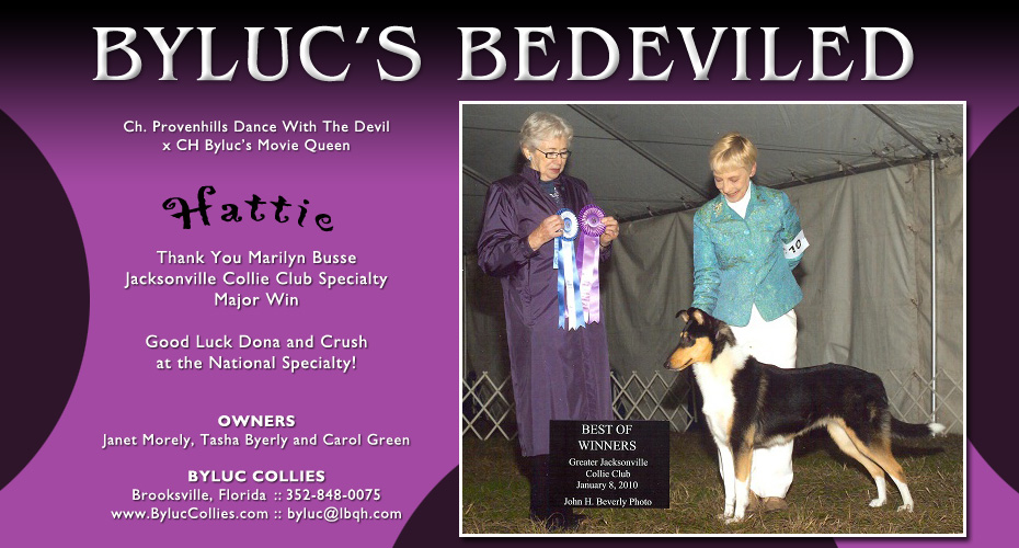 Byluc Collies -- CH Byluc's Speak Of The Devil and CH Byluc's Devil With A Blue Dress On