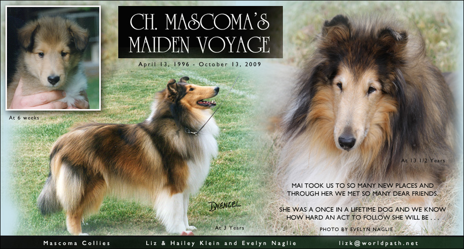 Mascoma Collies -- In Loving Memory of CH Mascoma's Maiden Voyage