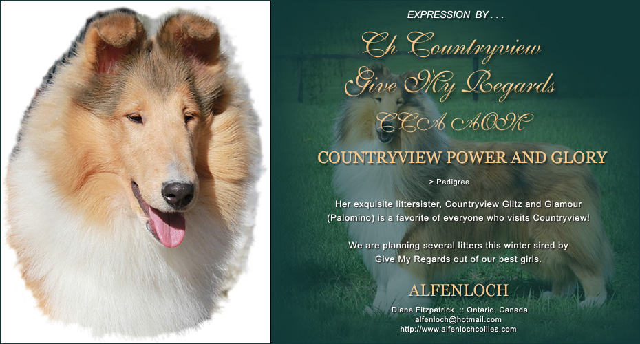 Alfenloch Collies -- Countryview Power And Glory