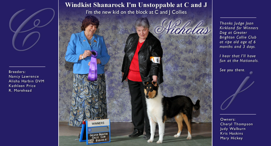 C And J Collies -- Windkist Shanarock I'm Unstoppable At C And J