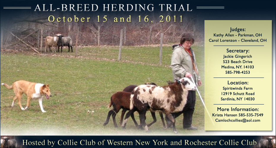 Collie Club of Western New York and Rochester Collie Club -- 2011 Herding Trial