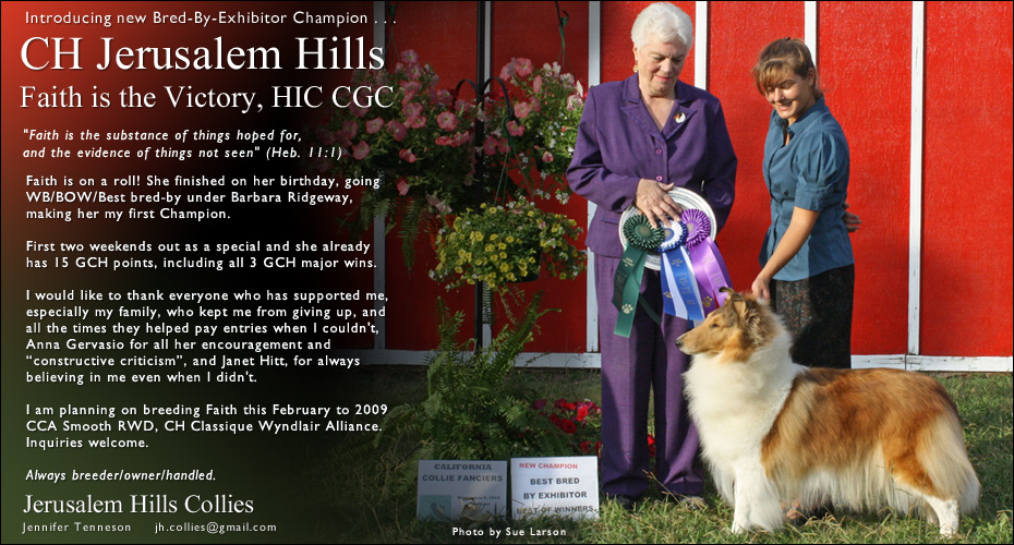 Jerusalem Hills Collies -- CH Jerusalem Hills Faith Is The Victory, HIC CGC