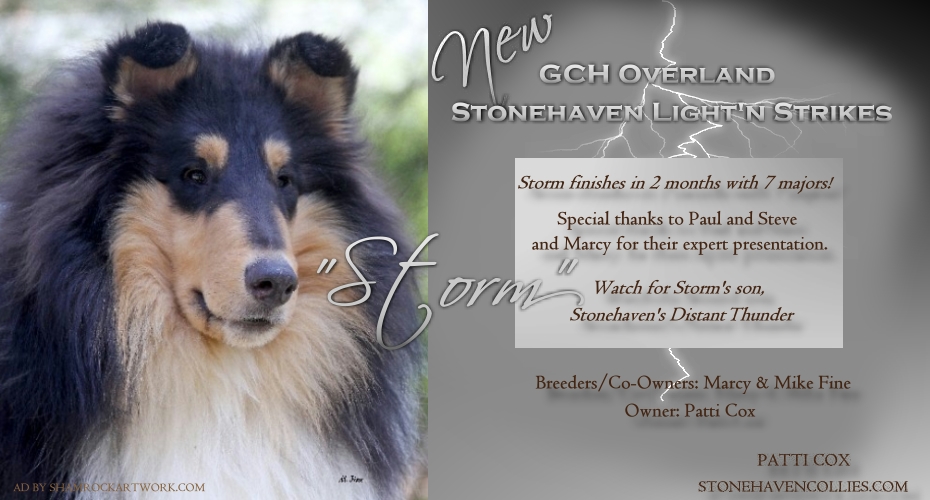 Stonehaven Collies -- CH Overland Stonehaven Light'N Strikes