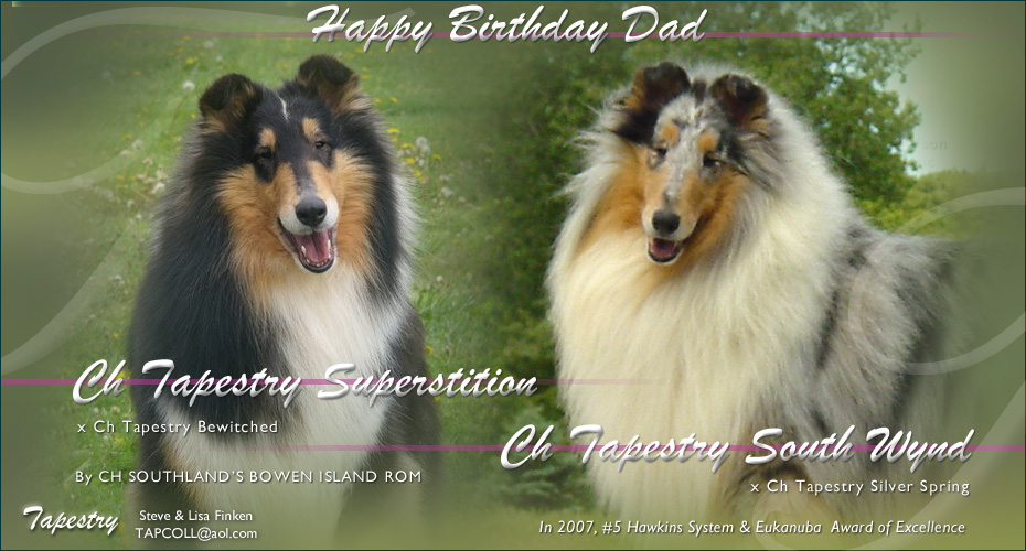 Tapestry Collies -- CH Tapestry South Wynd and CH Tapestry Superstition