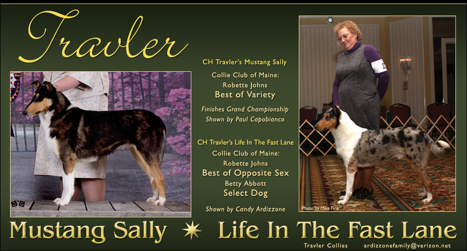Travler Collies -- GCH Travler's Mustang Sally and CH Travler's Life In The Fast Lane