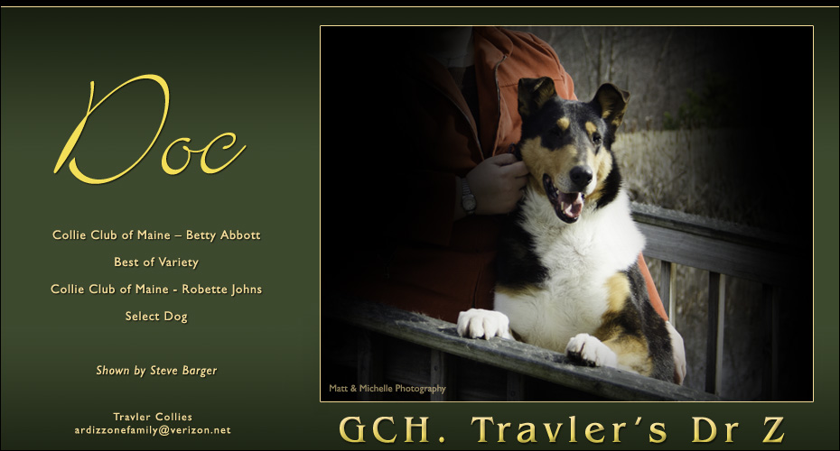 Travler Collies -- GCH Travlers's Dr Z