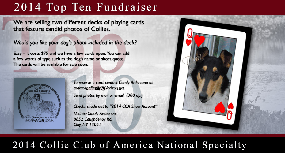 Collie Club of America -- 2014 Top Ten Fundraiser