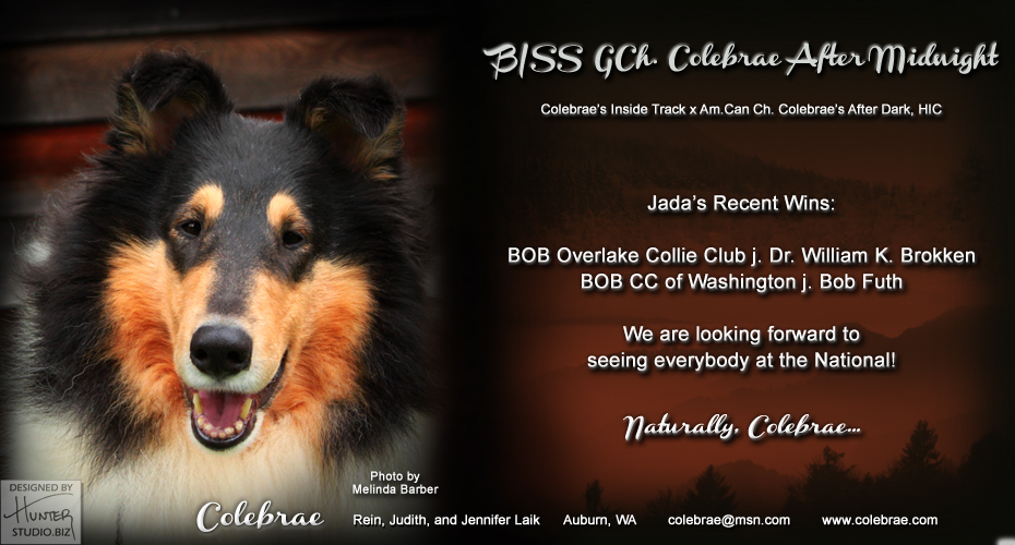 Colebrae Collies -- CGCH Colebrae After Midnight