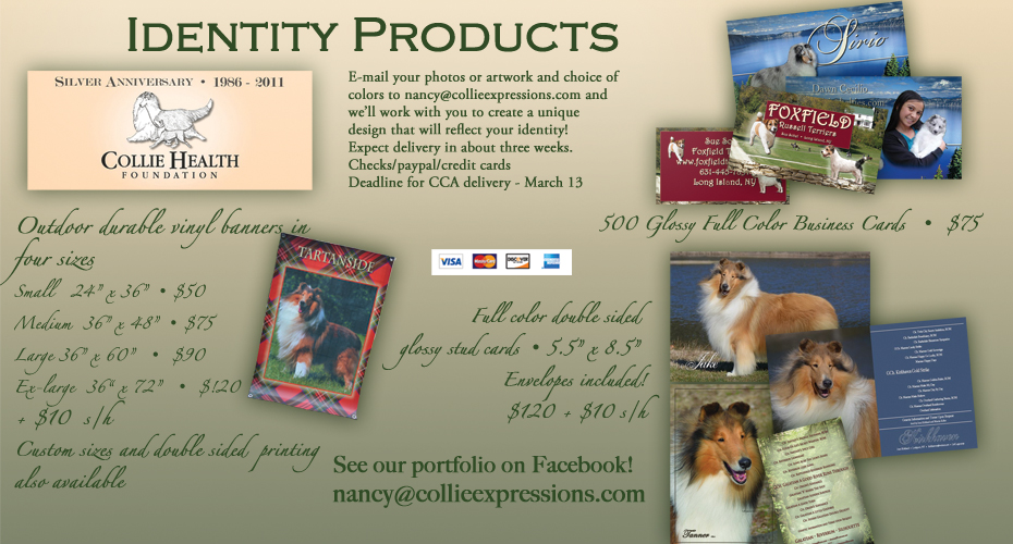 Collie Expressions - Identity Products