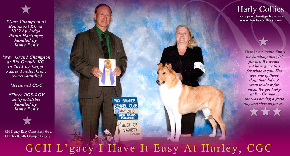 Harley Collies -- GCH L'gacy I have It Easy At Harley, CGC