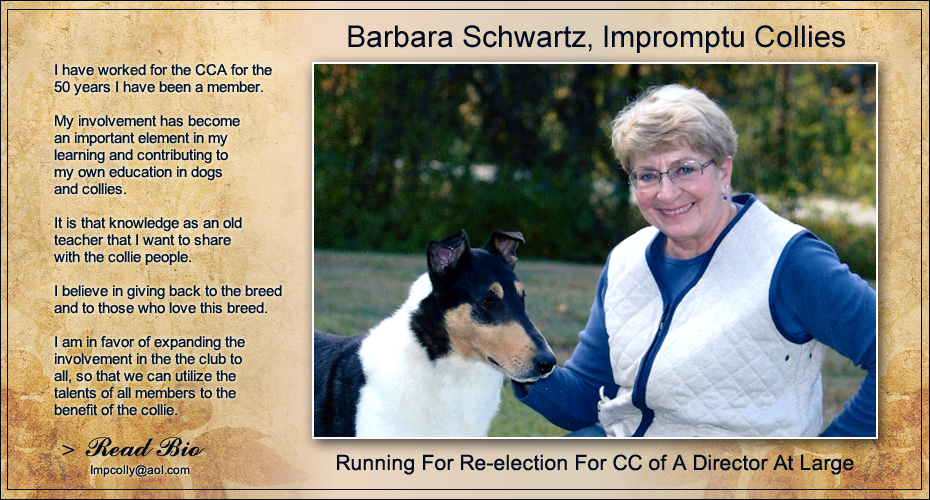 Barbara Schwartz -- Running for Re-election for CC of A Directory At Large