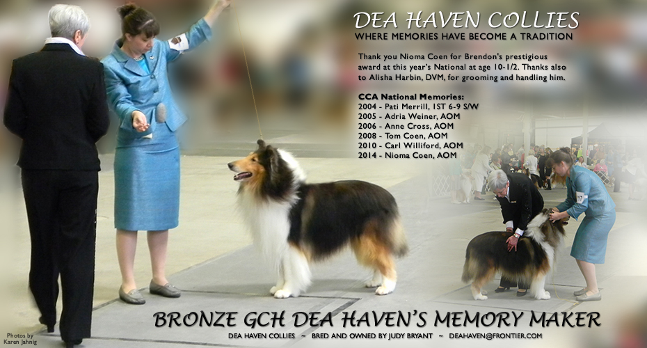 Dea Haven Collies -- Bronze GCH Dea Haven's Memory Maker