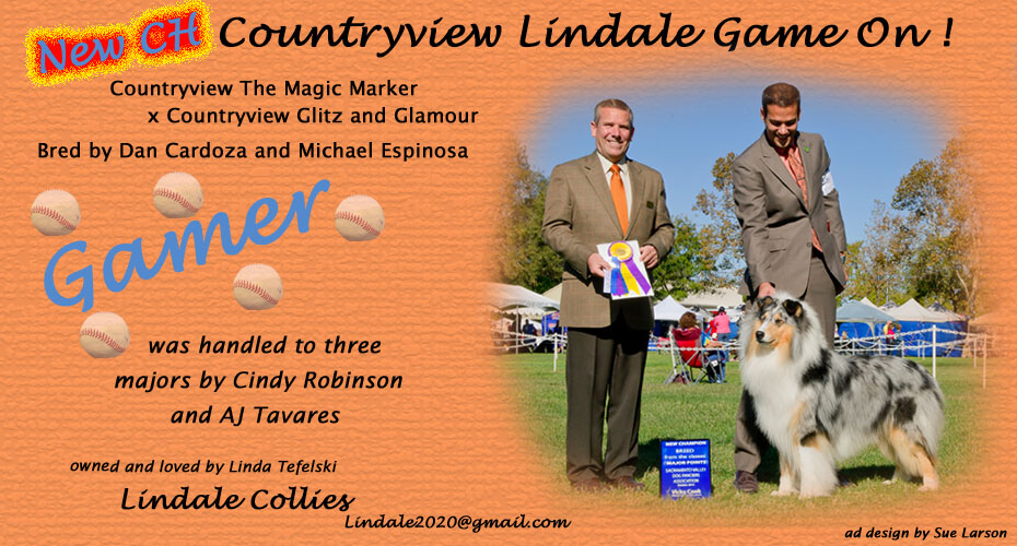 Lindale Collies -- CH Countryview Lindale Game On!
