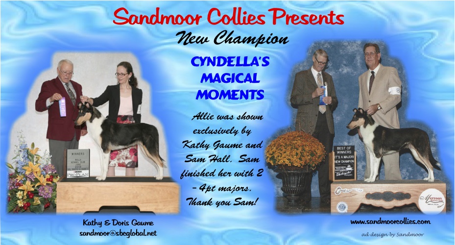 Sandmoor Collies -- CH Cyndella's Magical Moments 
