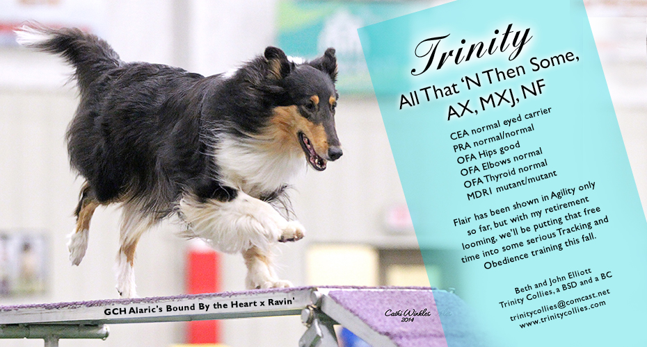 Trinity Collies -- Trinity All That 'N Then Some, AX, MXJ, NF