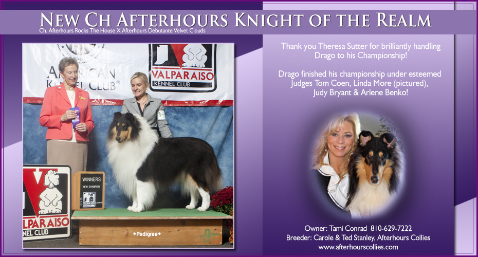 Afterhours Collies -- CH Afterhours Knight Of The Realm